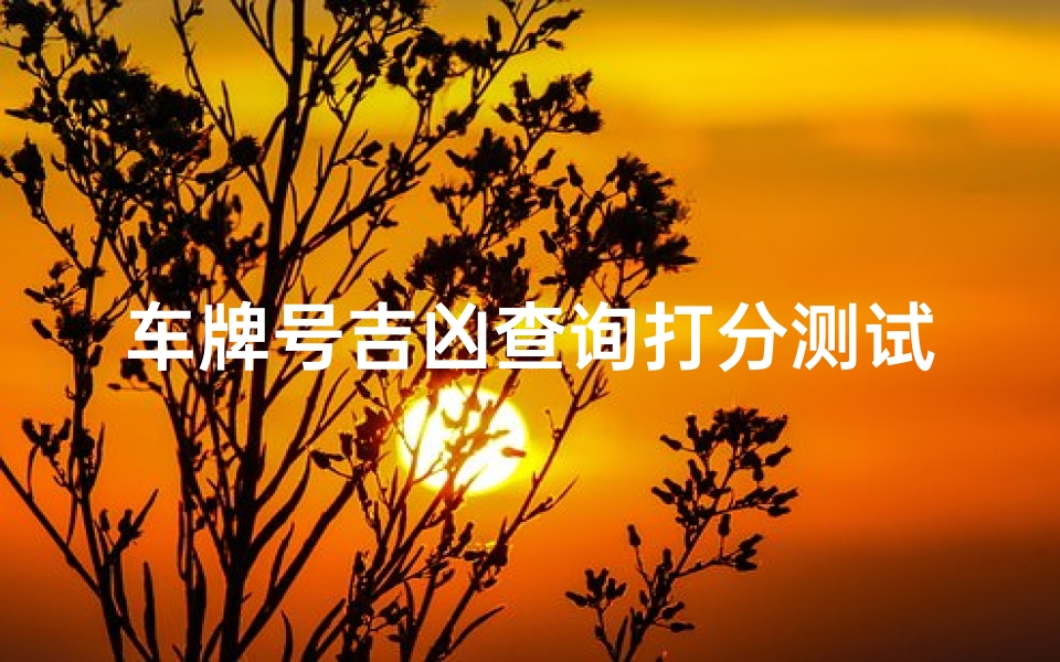 车牌号吉凶查询打分测试(车牌号码测试打分)