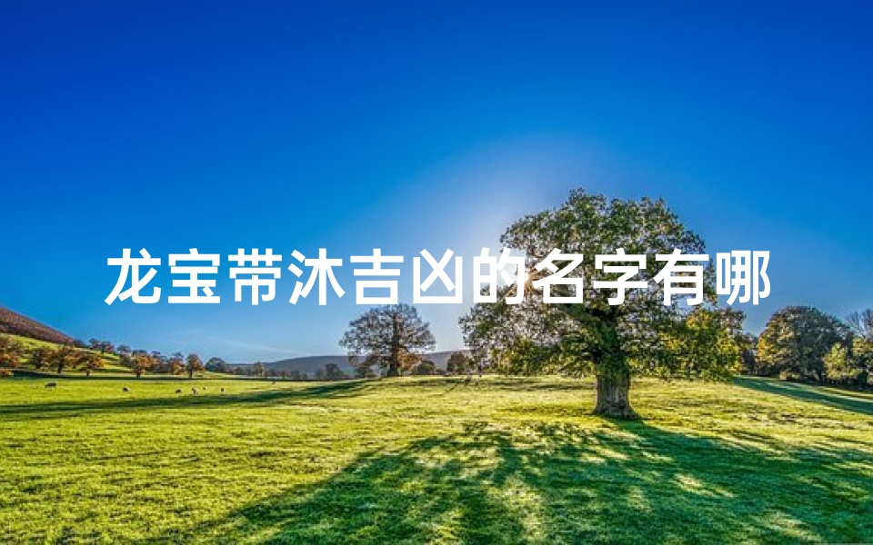 龙宝带沐吉凶的名字有哪些(《龙宝带沐吉凶：揭秘神秘吉祥物之谜》)